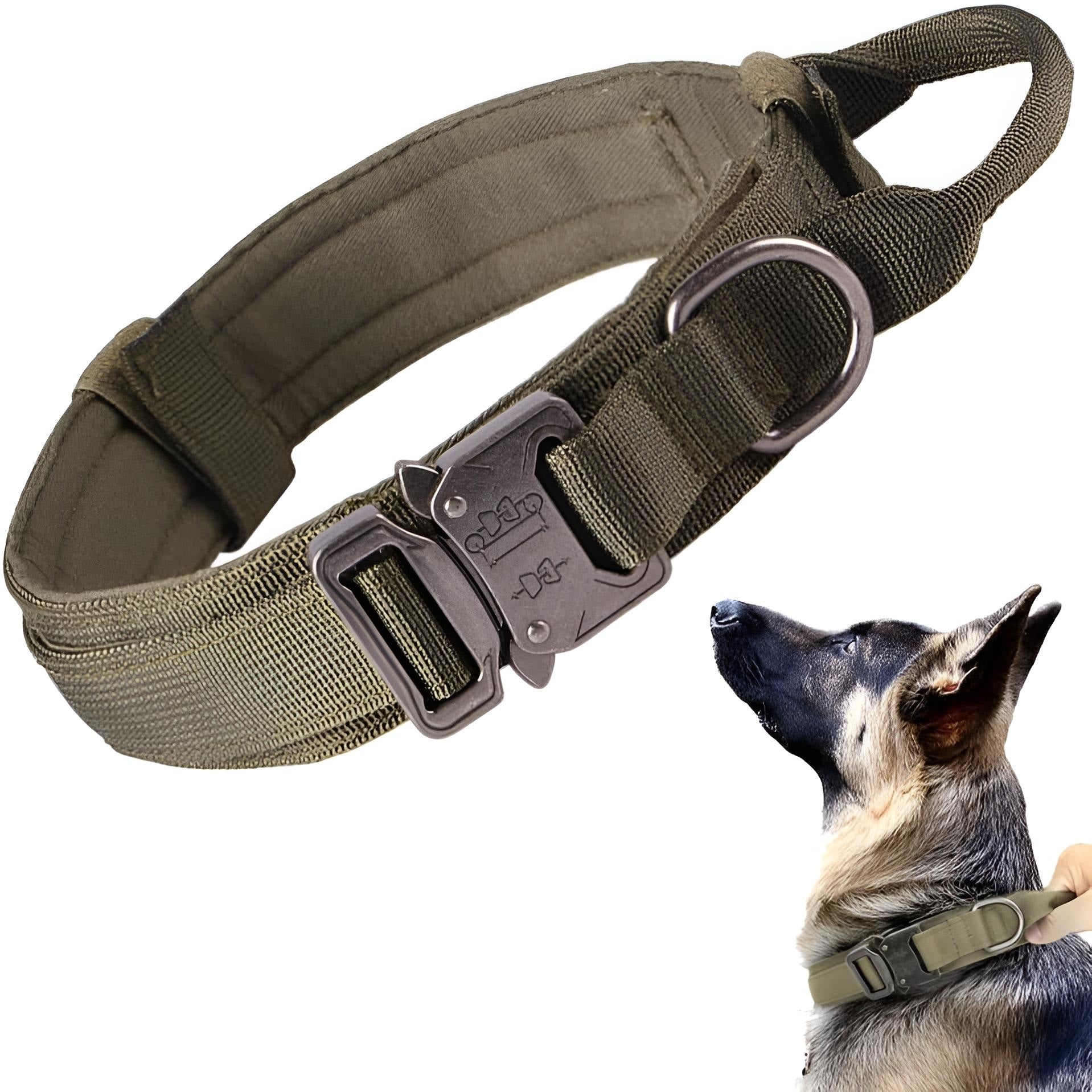 tactical collar green