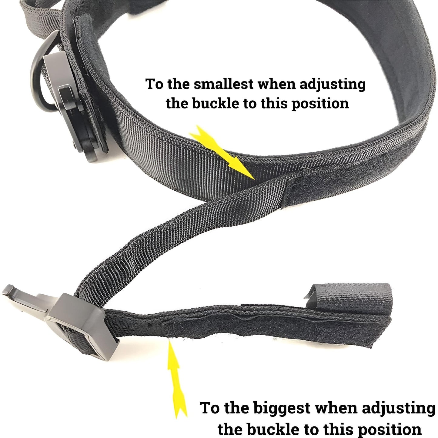 thick dog collar