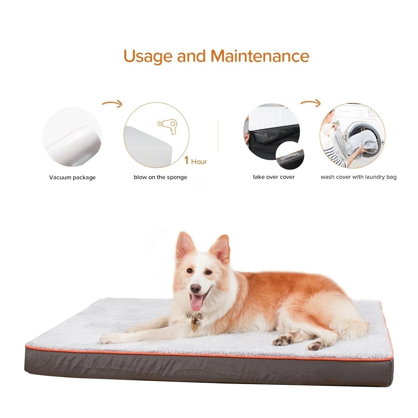 usage and maintenance of canine orthopedic beds