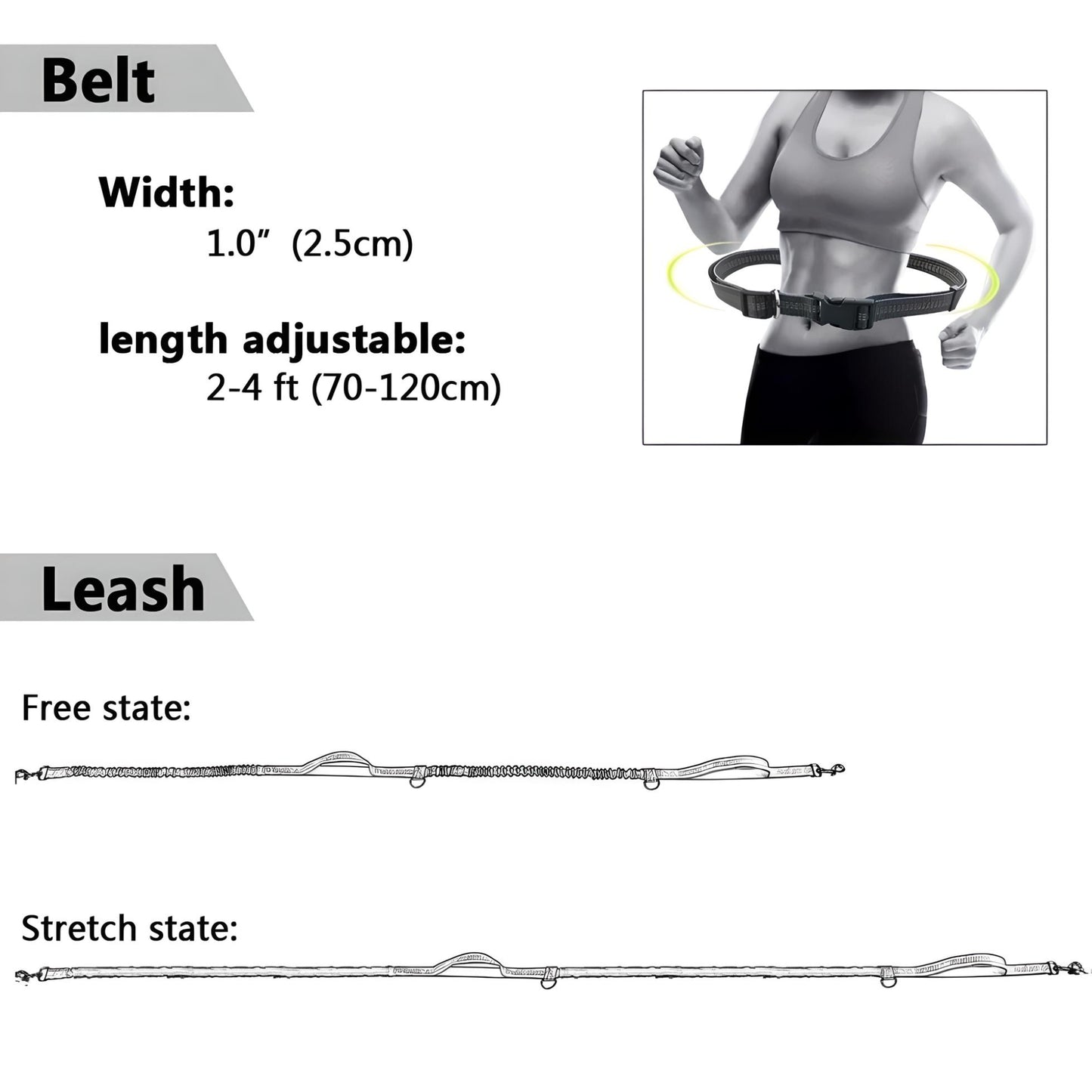 dog leash waist belt