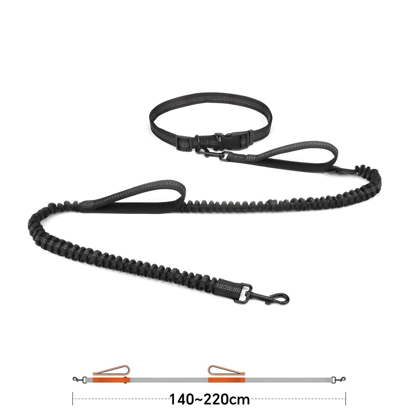 waist dog leash H2L1 Black