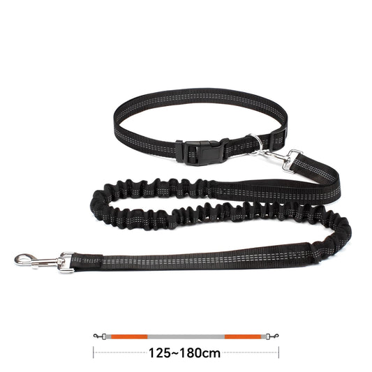 waist leash for dog walking black