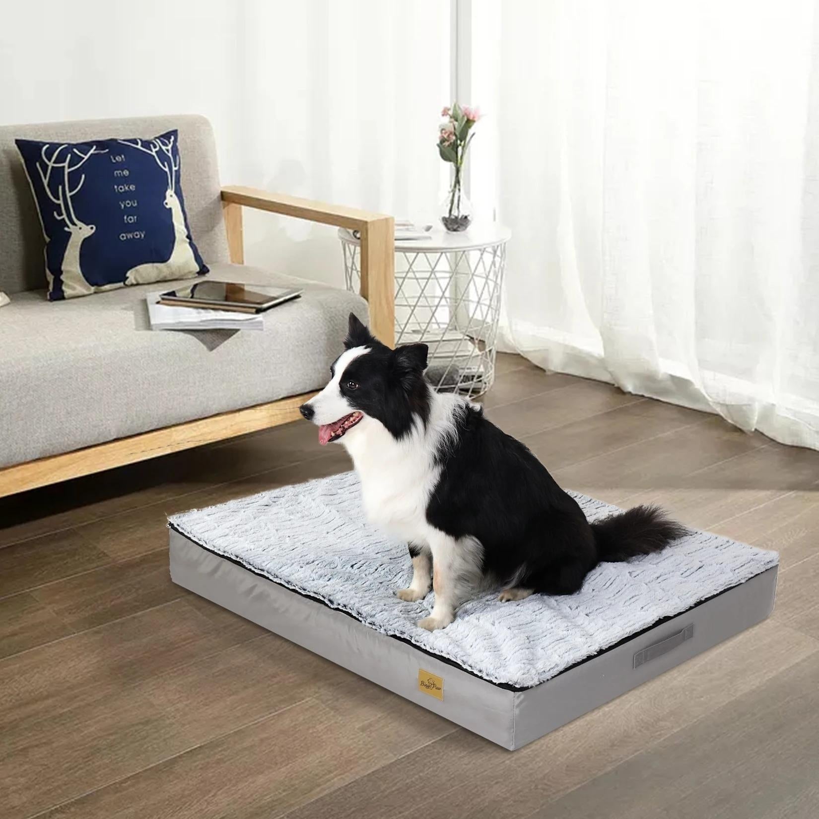 x large orthopedic dog bed