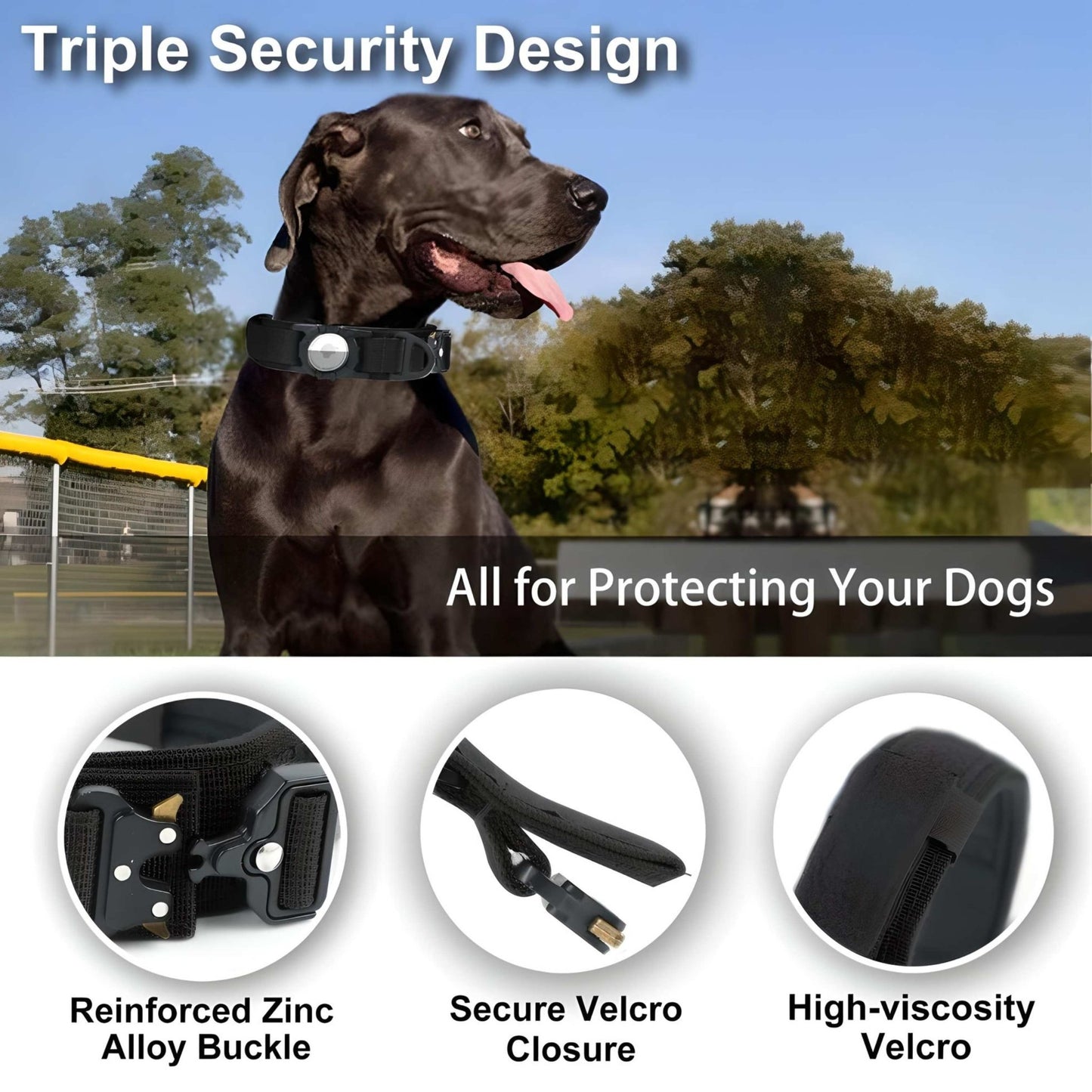 dog collar with airtag holder