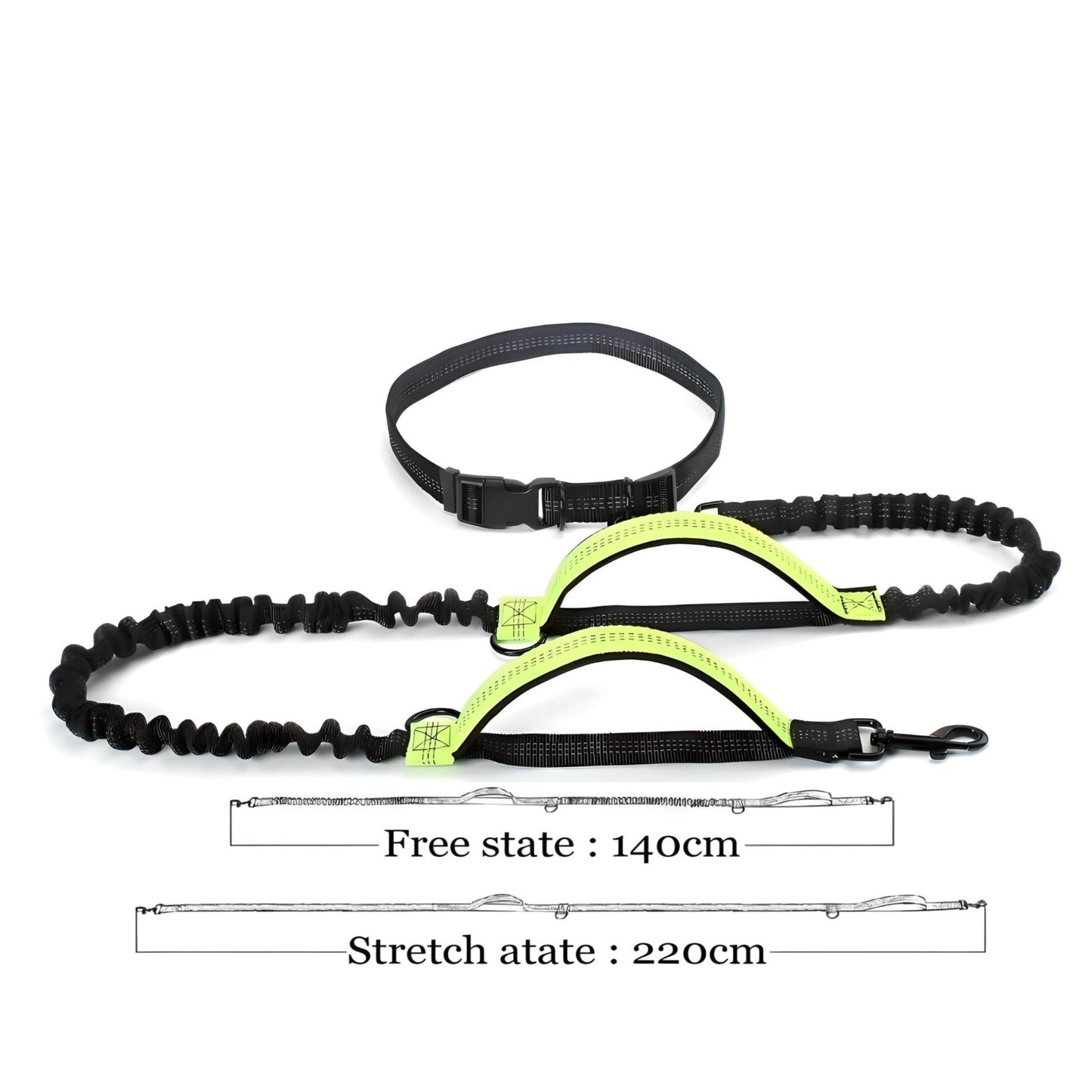 hands free dog leash H2 green