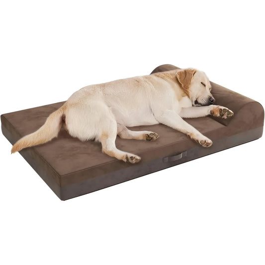 Dog sleeping on orthopedic bed