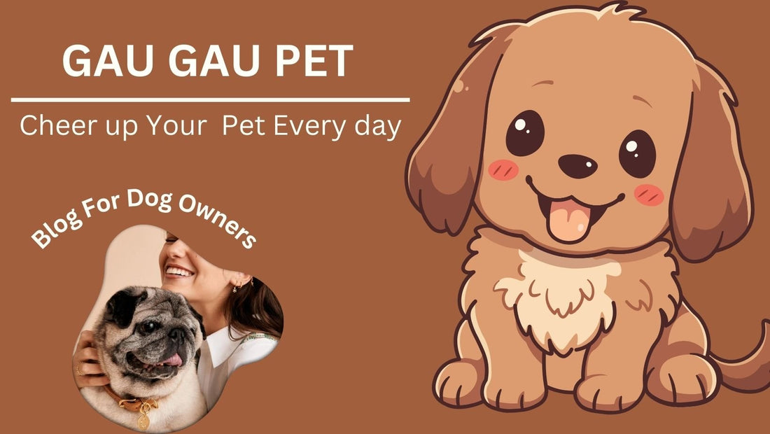 The Benefits of Using Gaugau's Personalized No-Pull Dog Leash and Harness - GAUGAUPET.COM