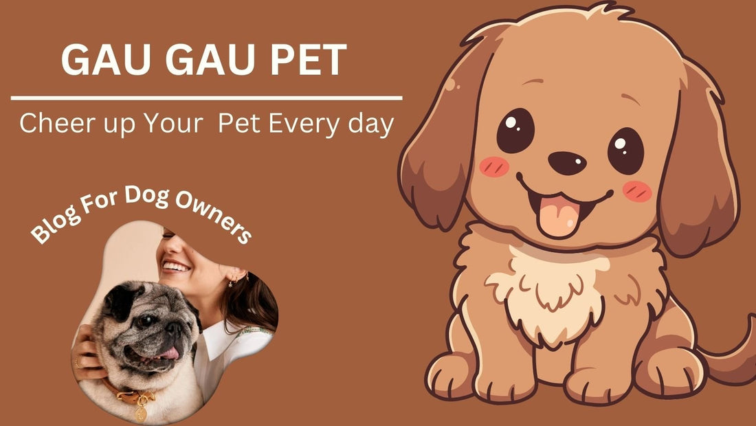 Reasons why "you" should immediately buy pet grooming gloves? - GAUGAUPET.COM