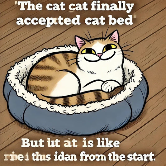 How to Encourage Your Cat to Use Their Bed