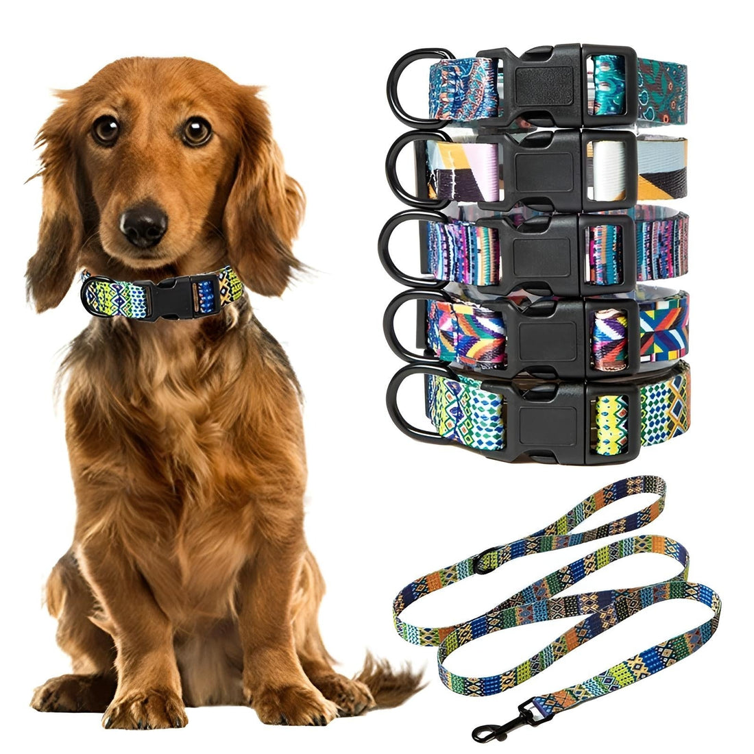 Dog Collars 