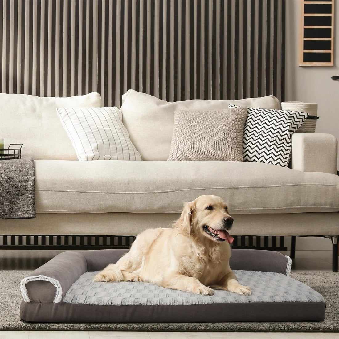 Dog curled in bolster bed