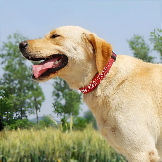 Personalized Dog Collars