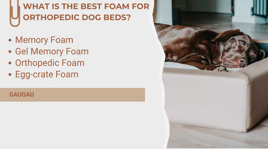 What type of foam is the best for dogs with arthritis?