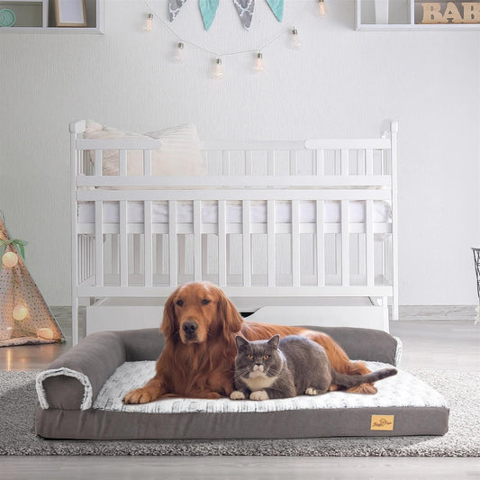 medium-sized dog resting in a bolster bed with raised sides