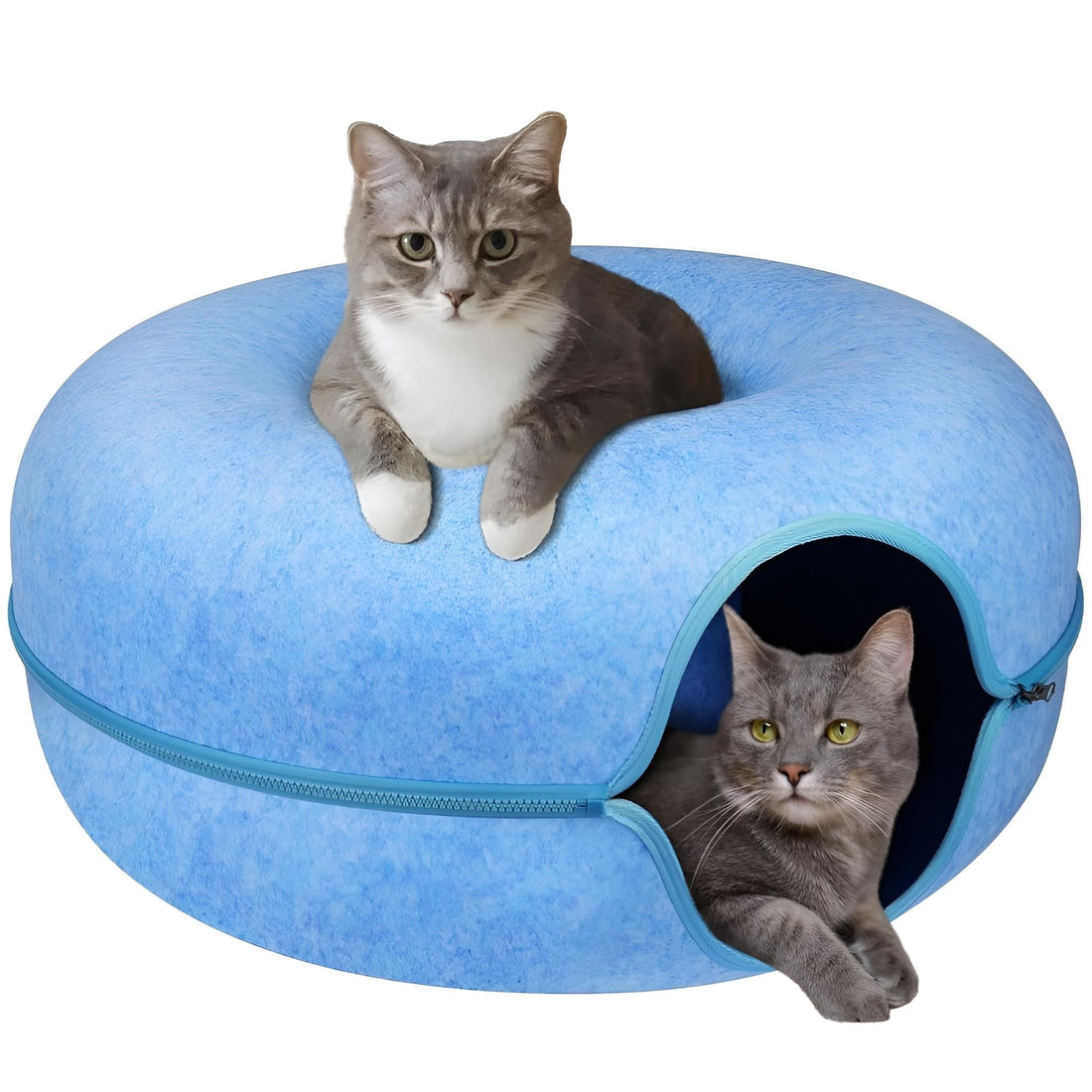 Best Cat Beds for Different Personality Types and Sleeping Styles