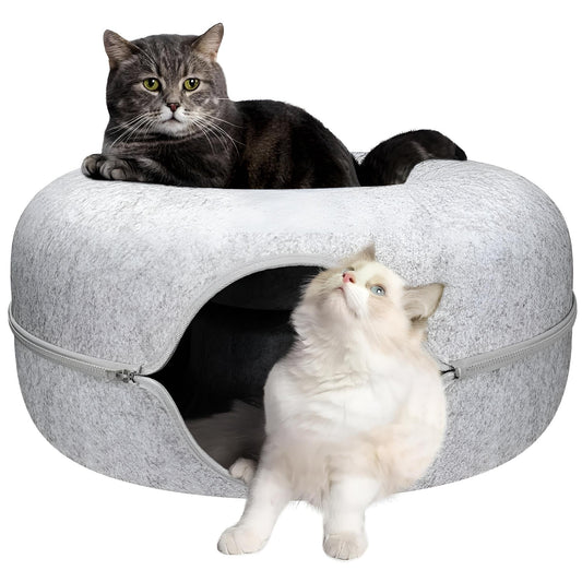 Cat Bed Maintenance: How to Keep Your Cat’s Bed Clean, Fresh, and Odor-Free