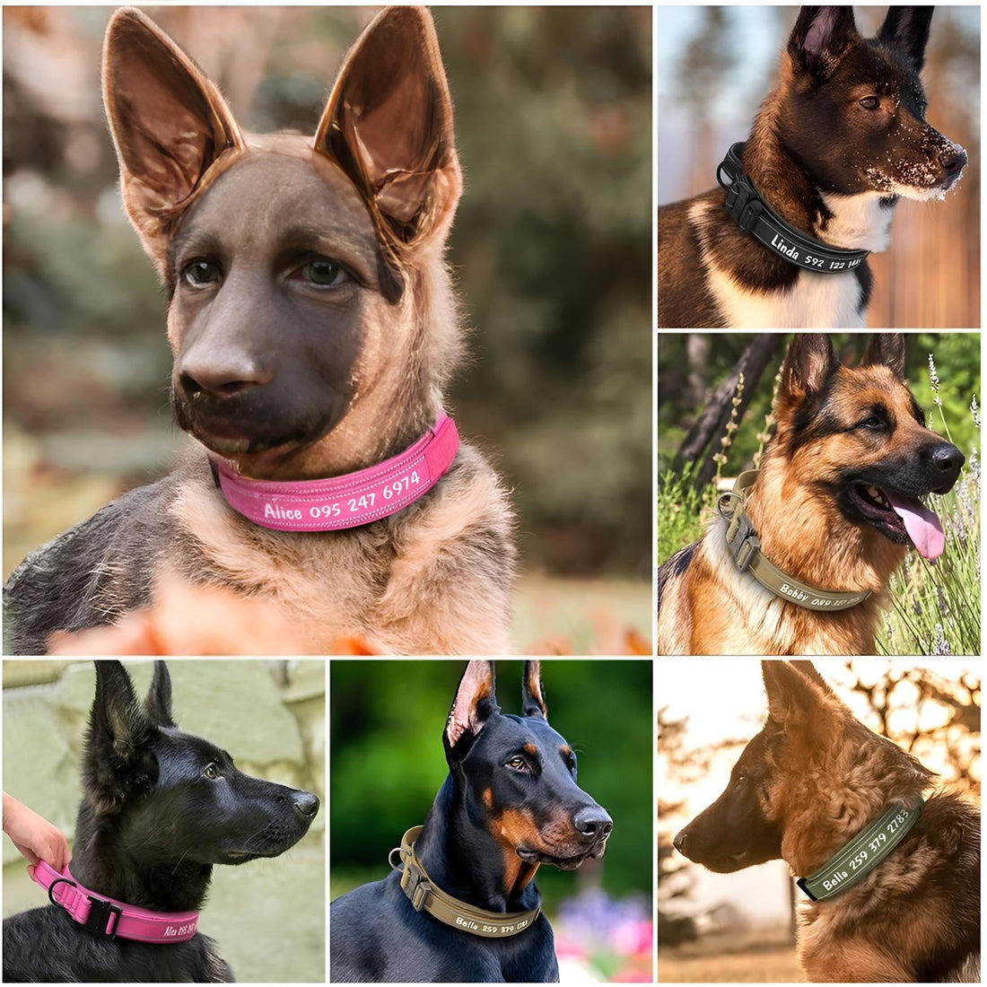 Custom Dog Collars with Reflective and Name Tag