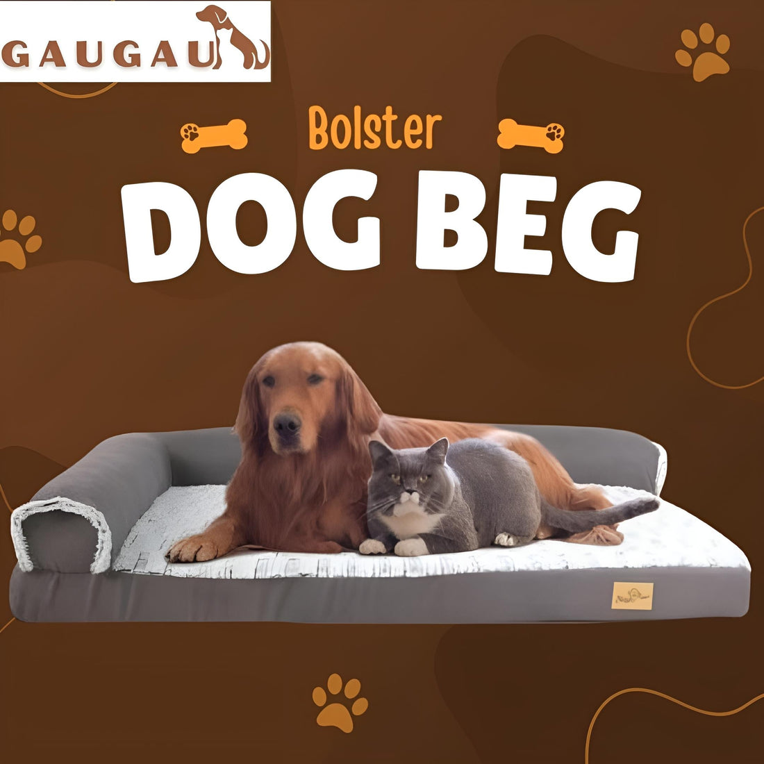 Best Orthopedic Dog Beds Reviews: Real Customer Insights & Top-Rated Picks for 2025