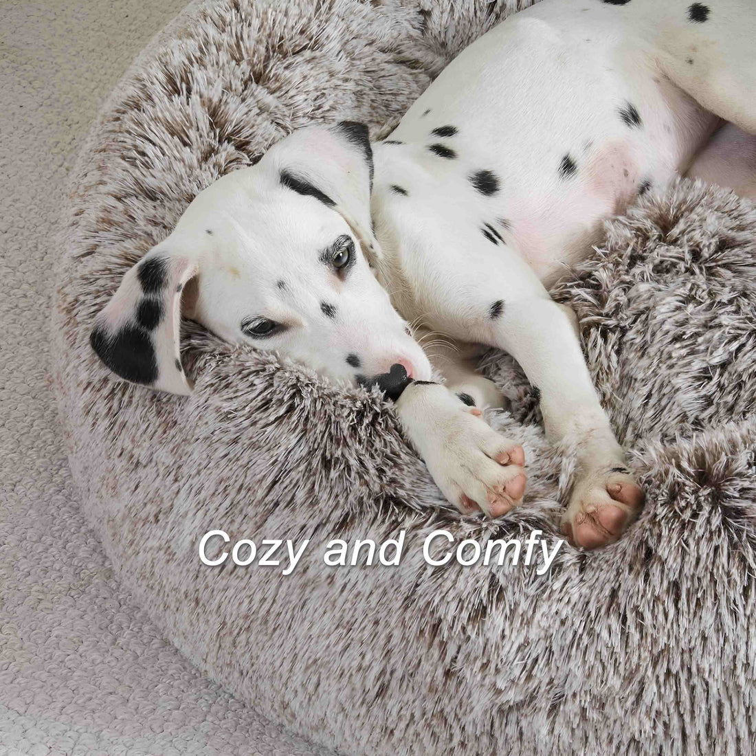 round dog bed