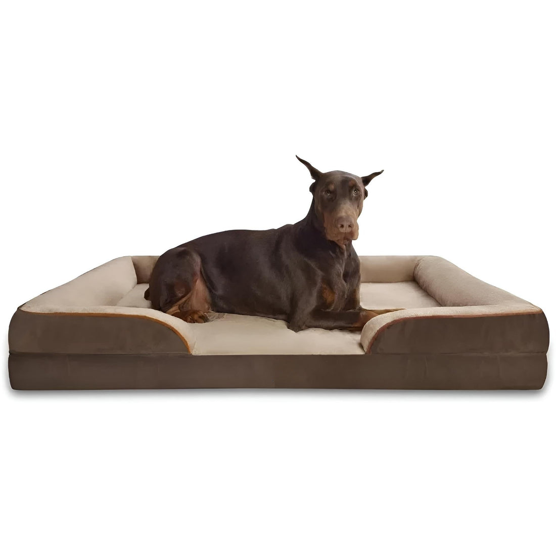 Orthopedic Bed