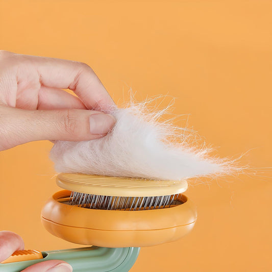 Pumpkin pet brush