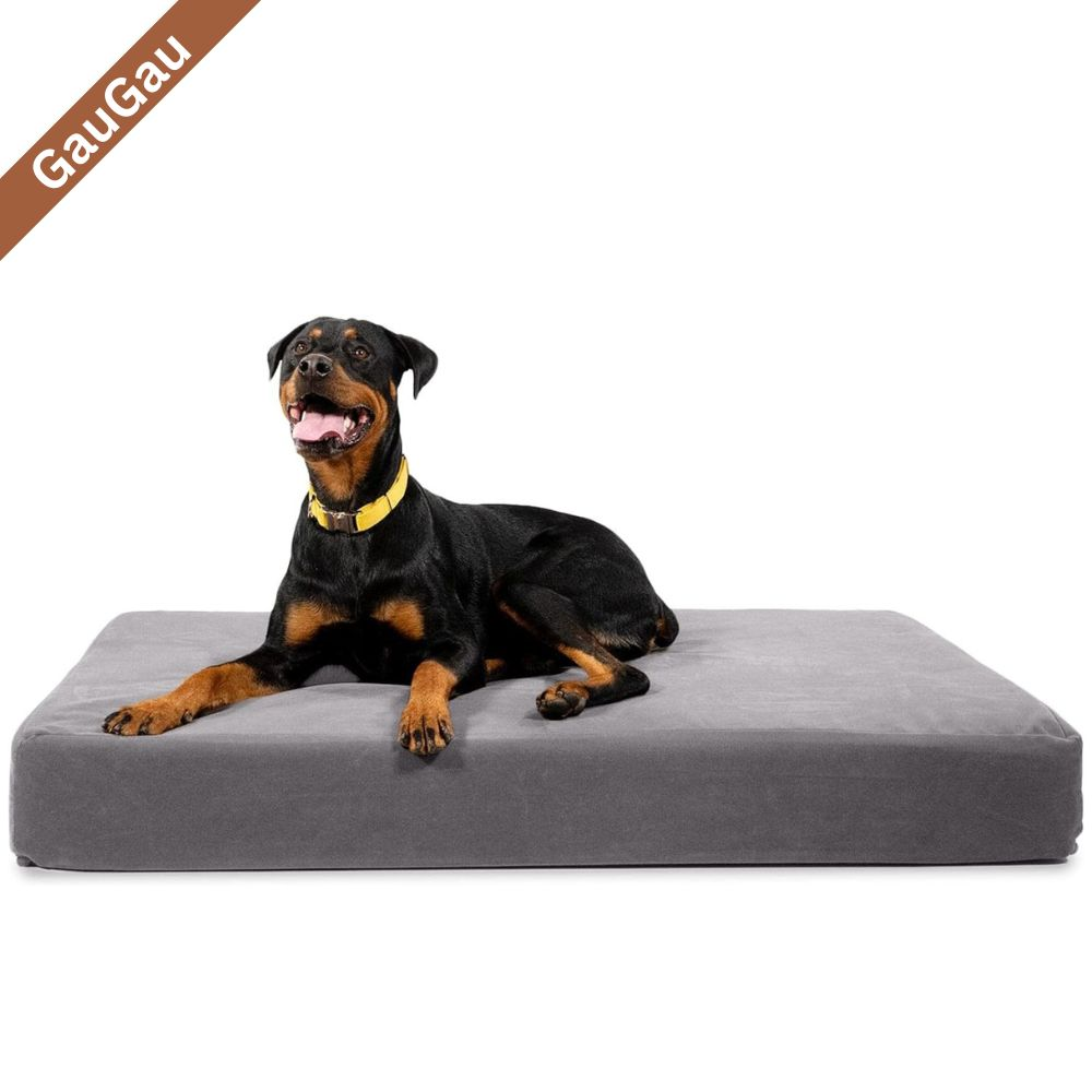 Orthopedic Dog Beds Collection