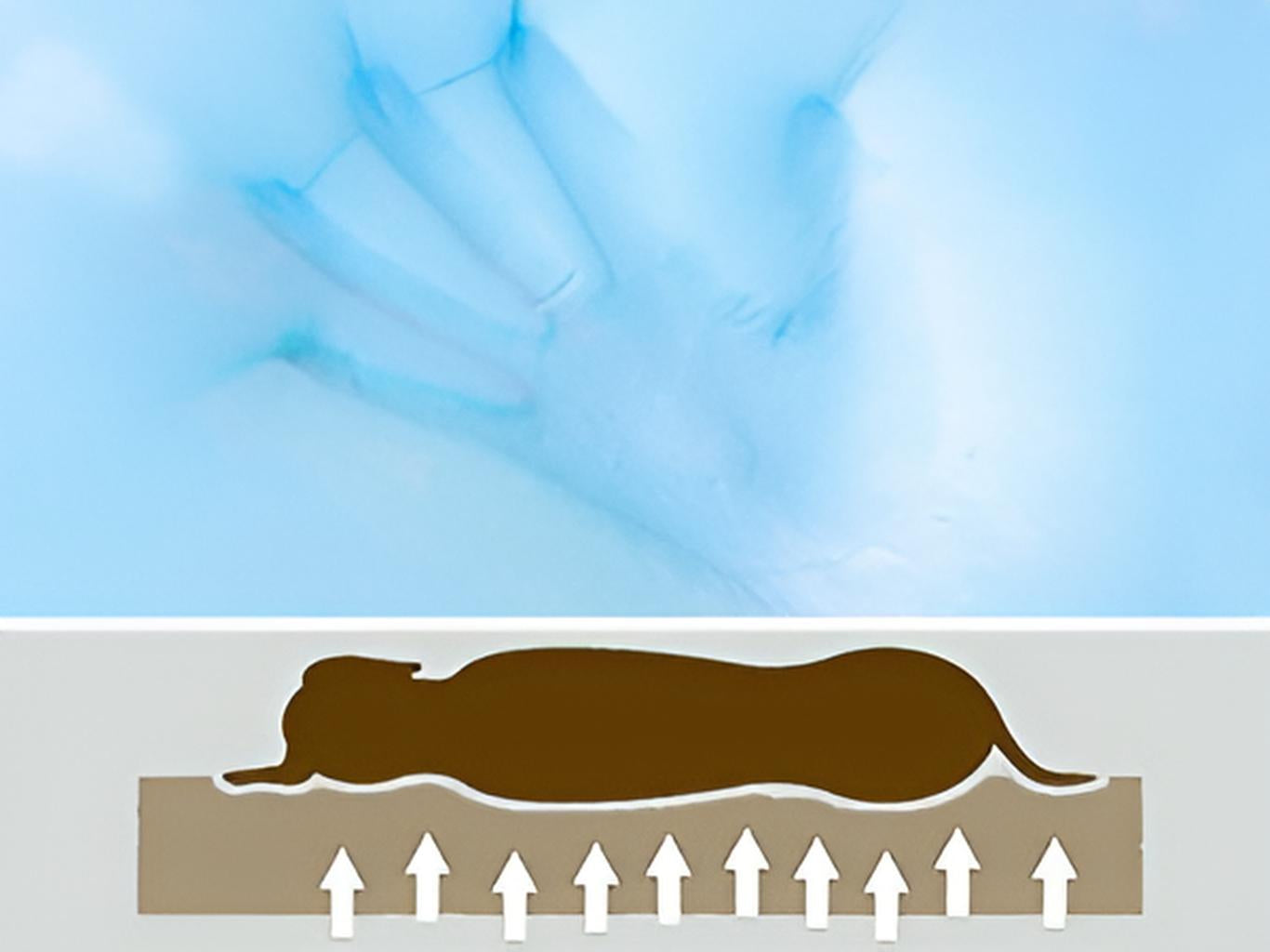 45d Orthopedic Memory Foam