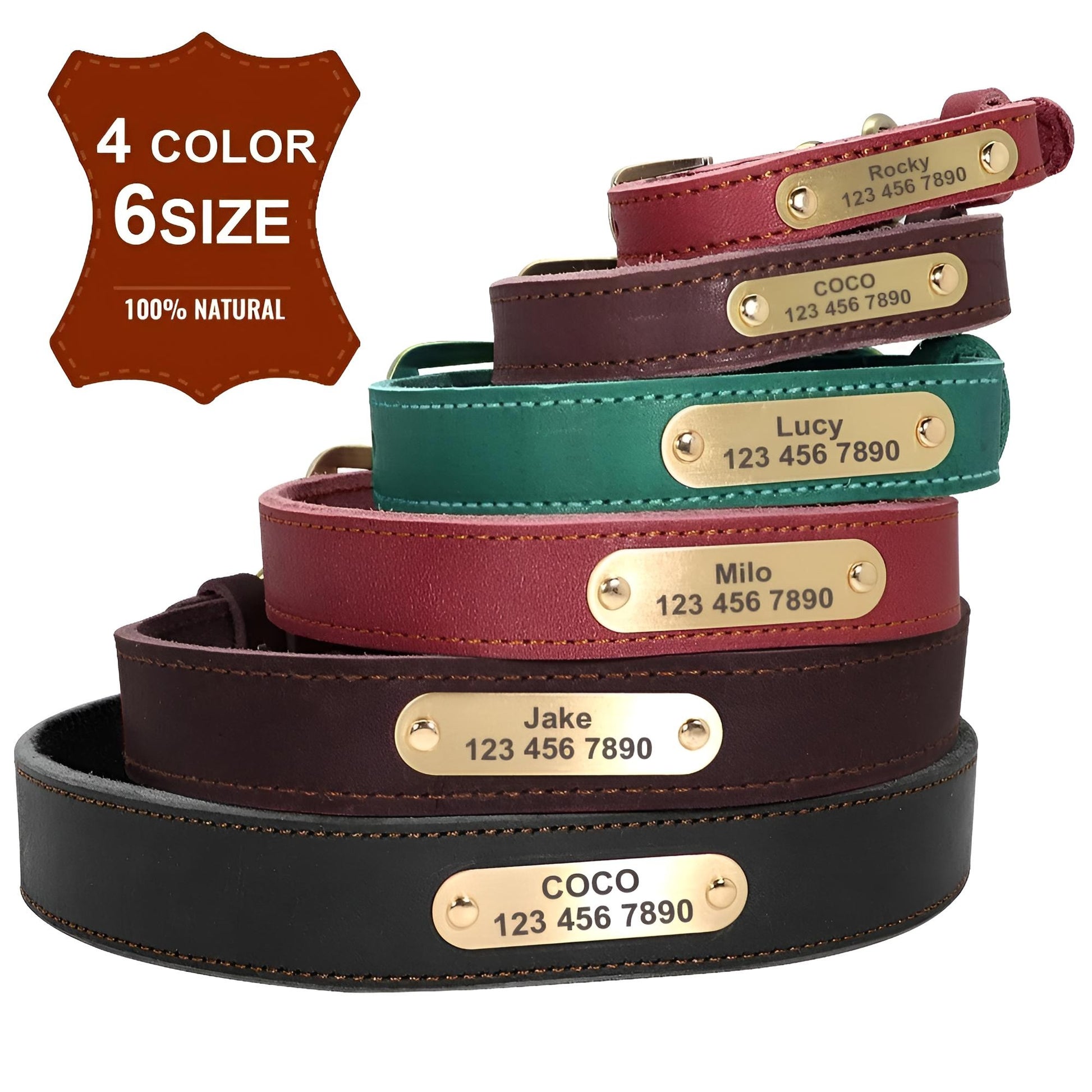 Custom Genuine Leather Dog Collar with name plate and leash  4 colors 6 sĩzes