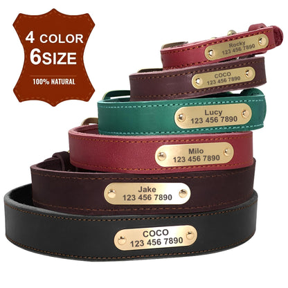 Custom Genuine Leather Dog Collar with name plate and leash  4 colors 6 sĩzes