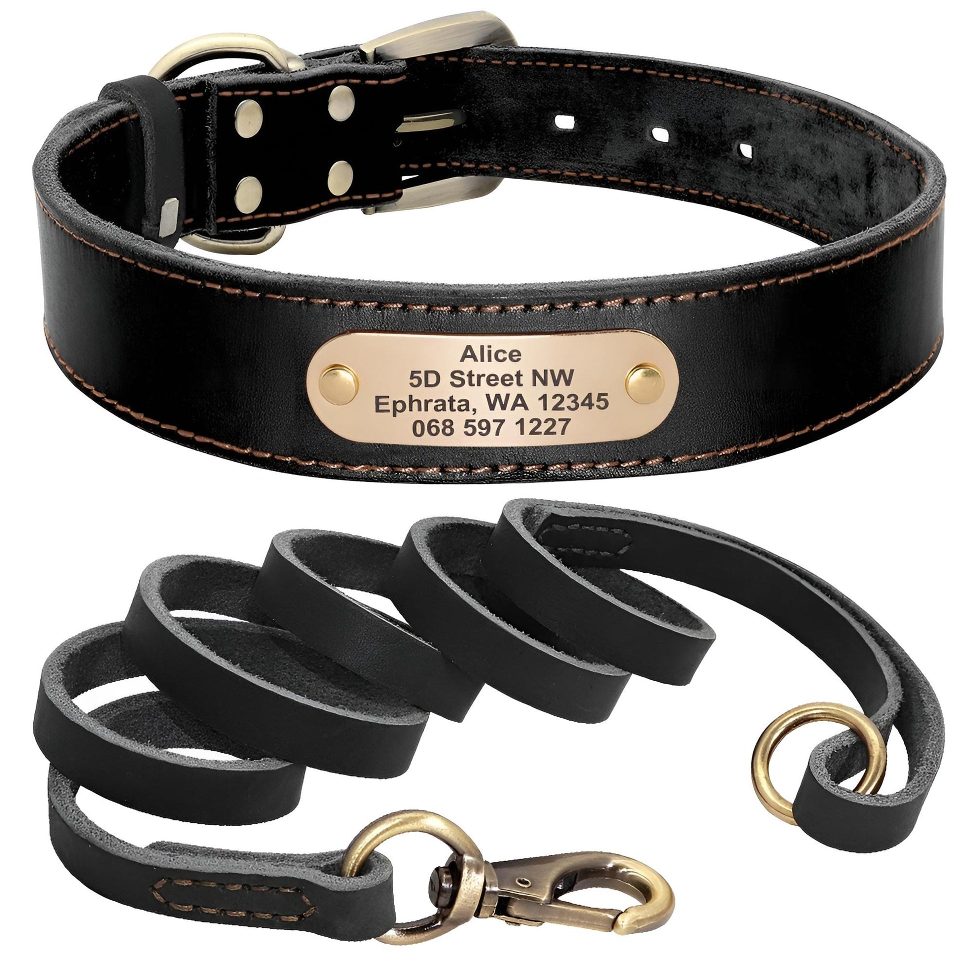 Custom Genuine Leather Dog Collar with name plate and leash black