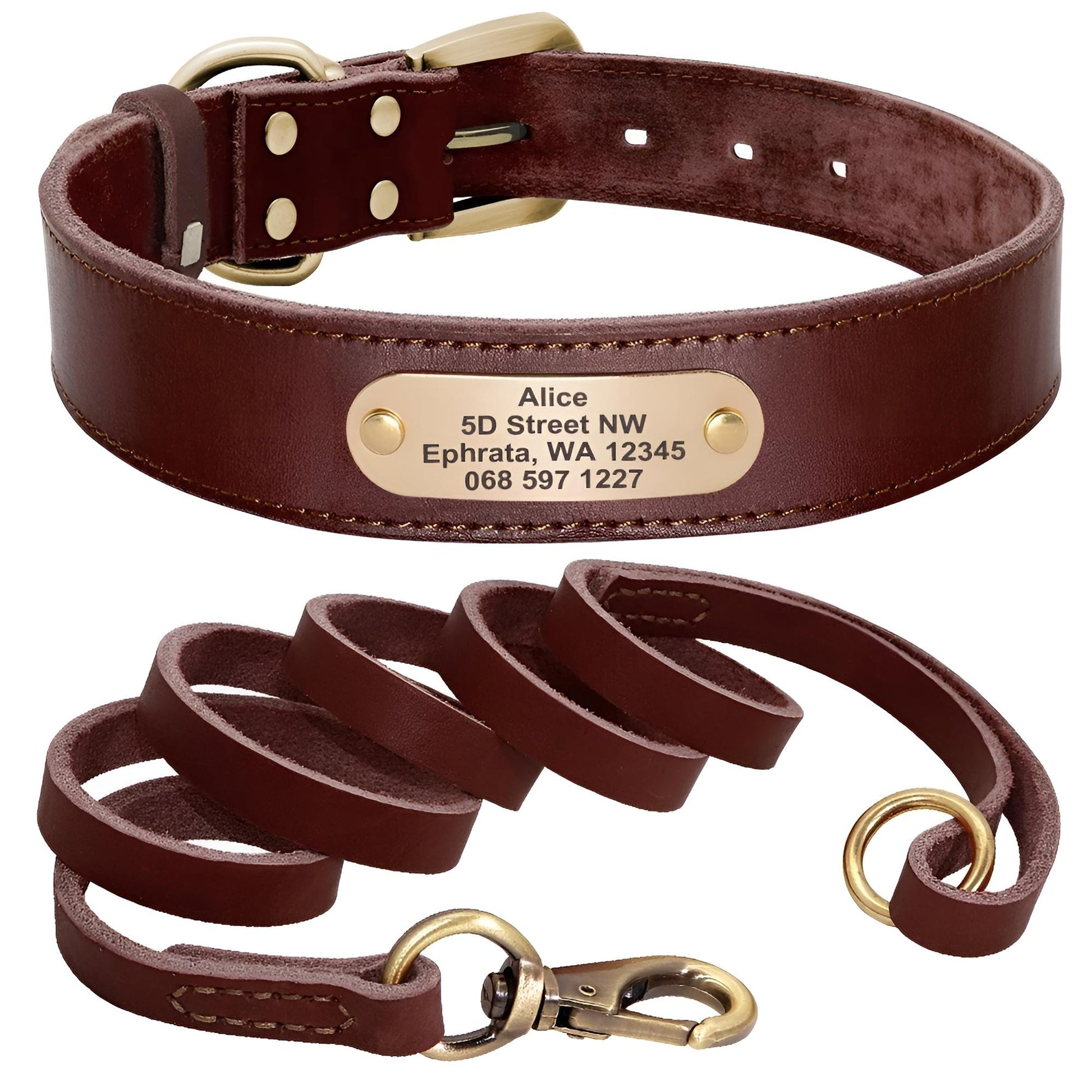 Custom Genuine Leather Dog Collar with name plate and leash brown