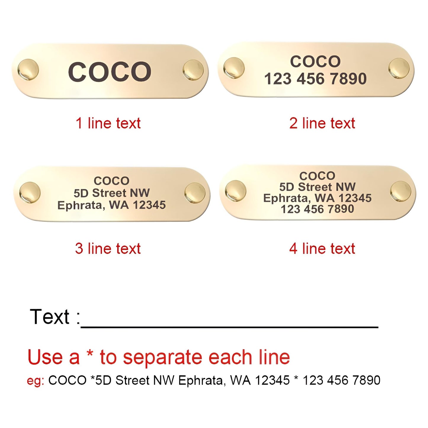 Custom Genuine Leather Dog Collar with name plate and leash gaugau