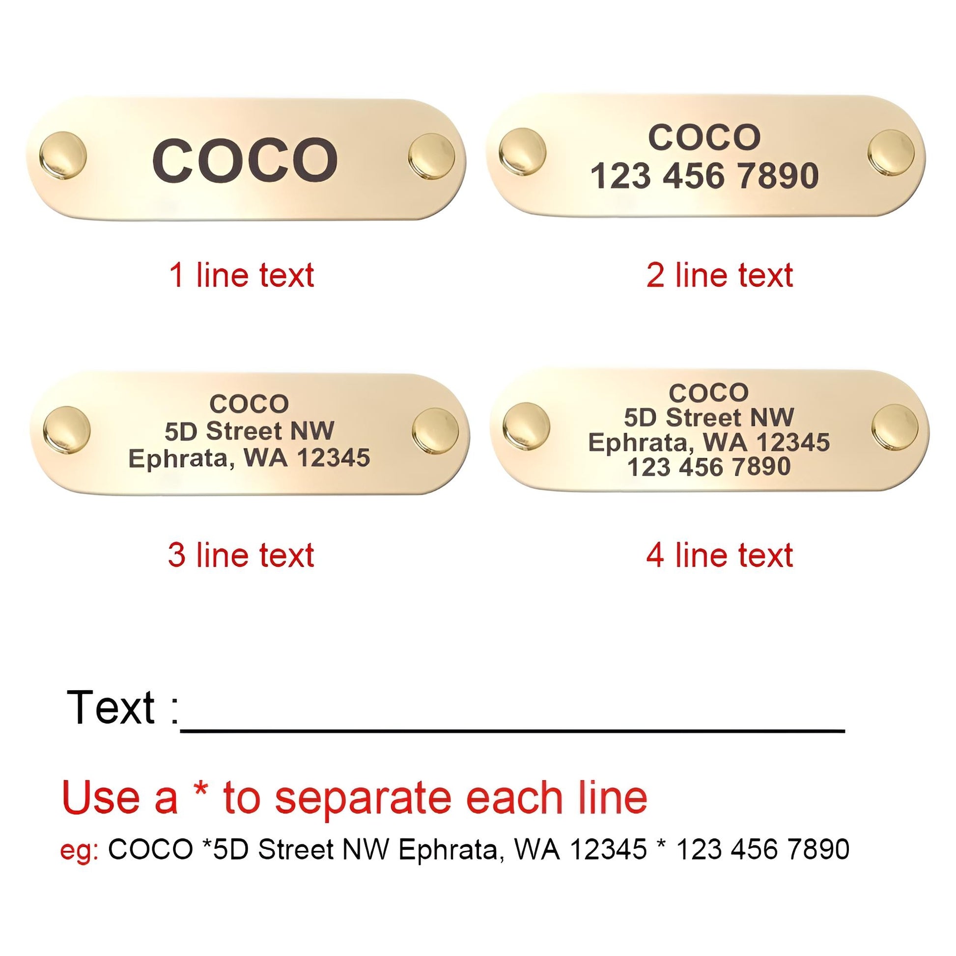 Custom Genuine Leather Dog Collar with name plate and leash gaugau