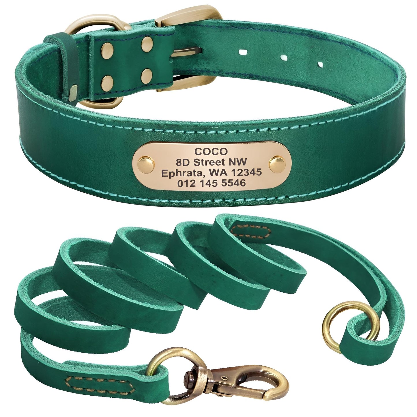 Custom Genuine Leather Dog Collar with name plate and leash green