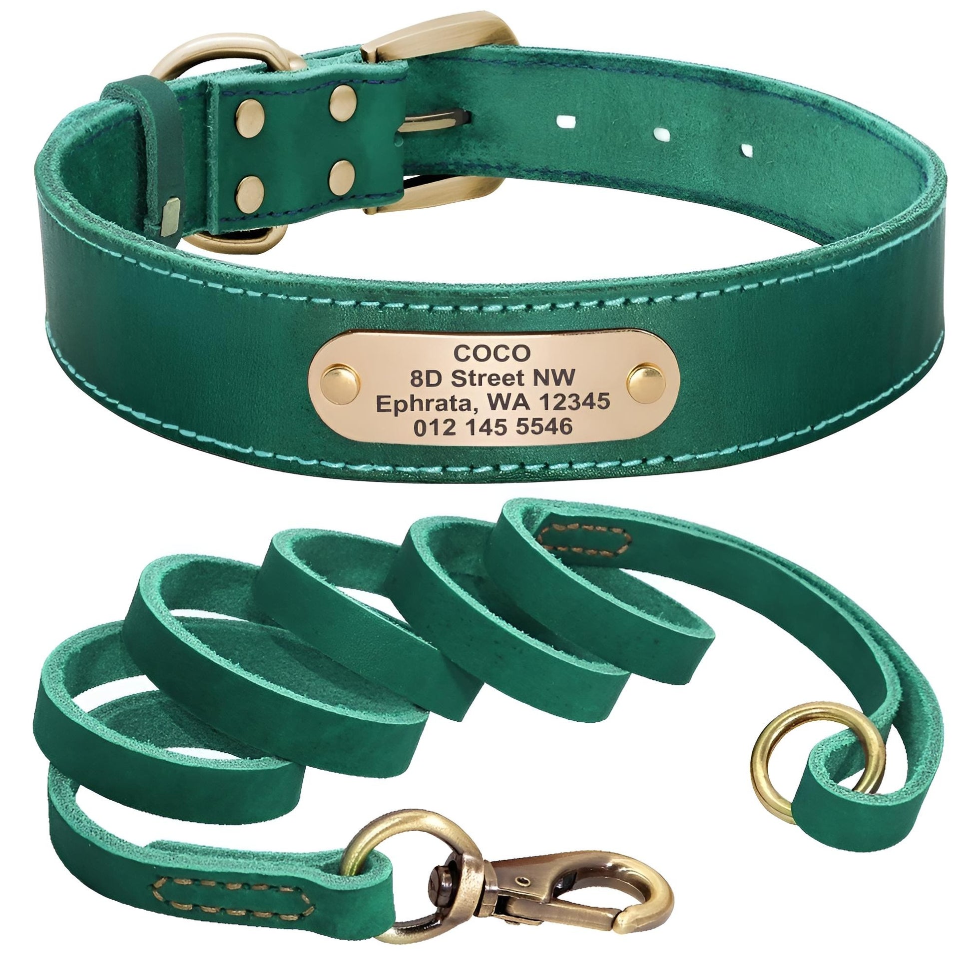 Custom Genuine Leather Dog Collar with name plate and leash green