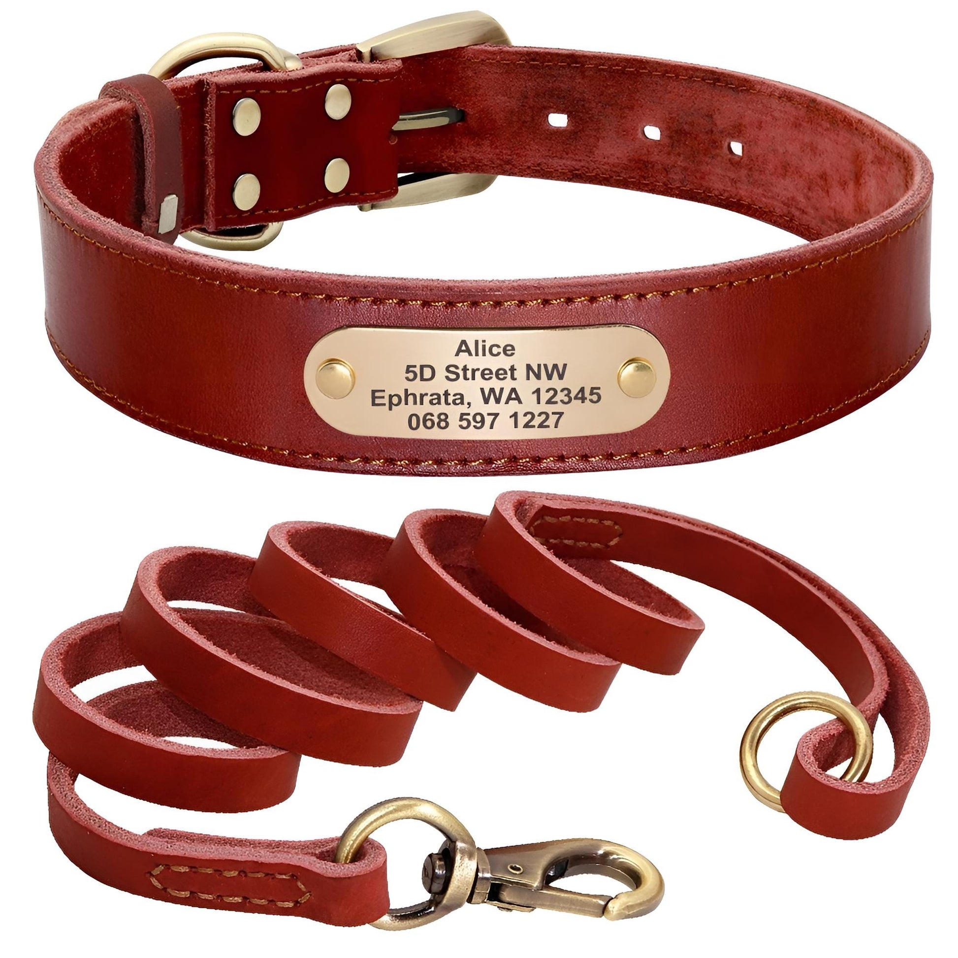 Custom Genuine Leather Dog Collar with name plate and leash red