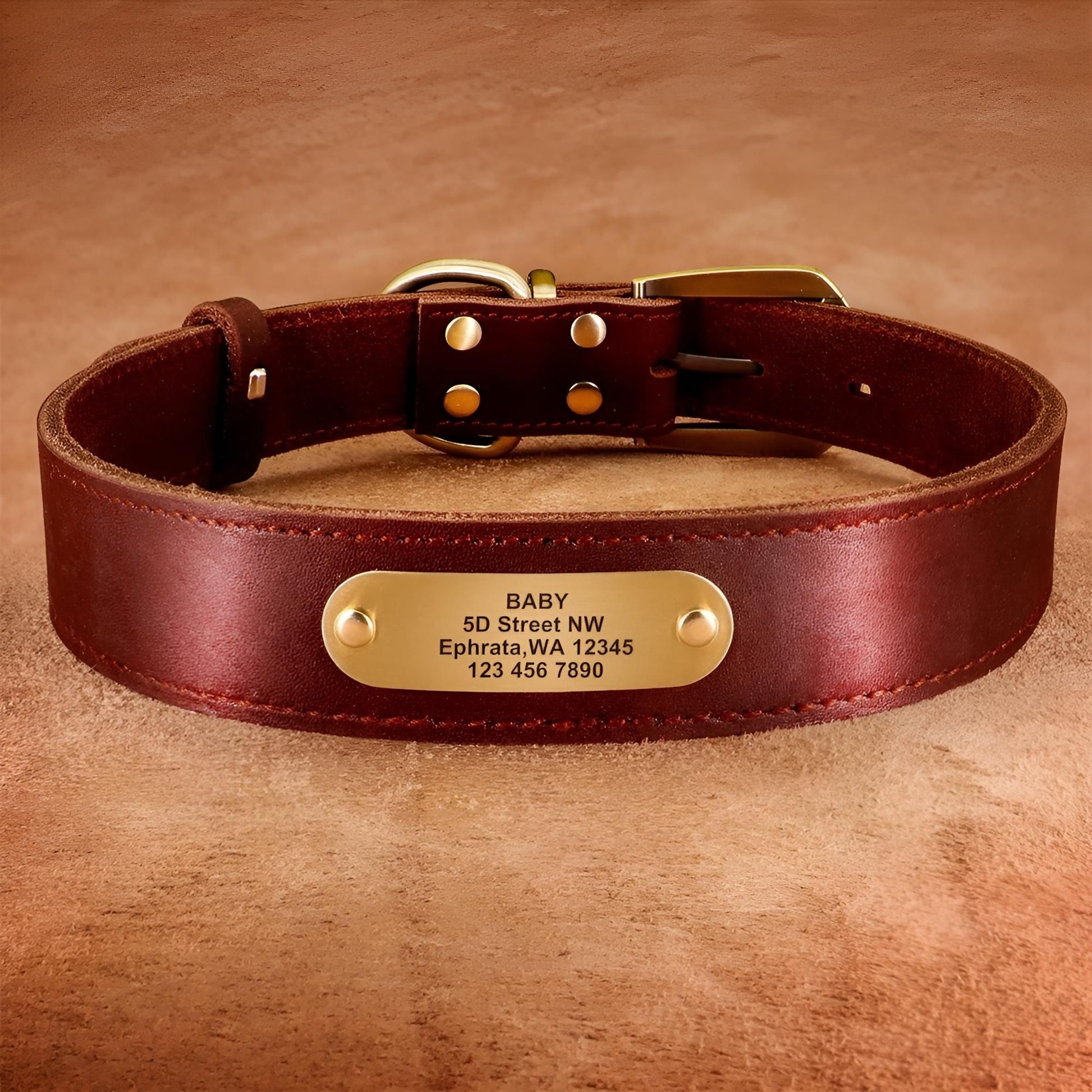 Custom Genuine Leather Dog Collar with name plate red