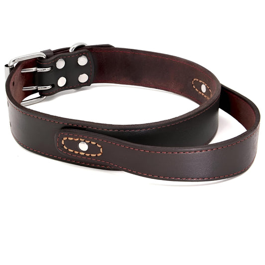 Custom Leather Dog Collar with Quick Control Handle Brown