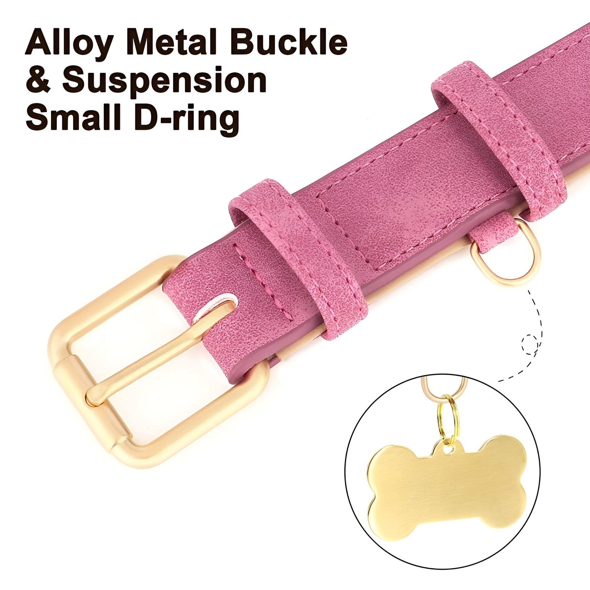 Dog collar with Alloy metal buckle and suspension small D-ring