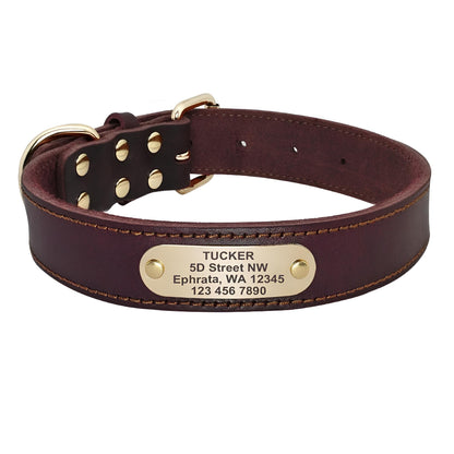 Genuine Leather Dog Collars with Name Brown