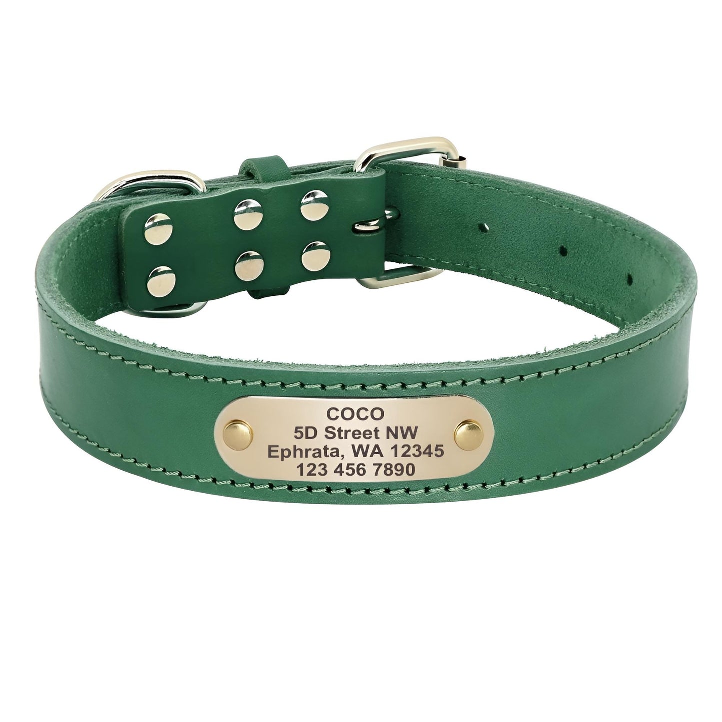 Genuine Leather Dog Collars with Name Green