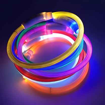 Glowing dog collar set