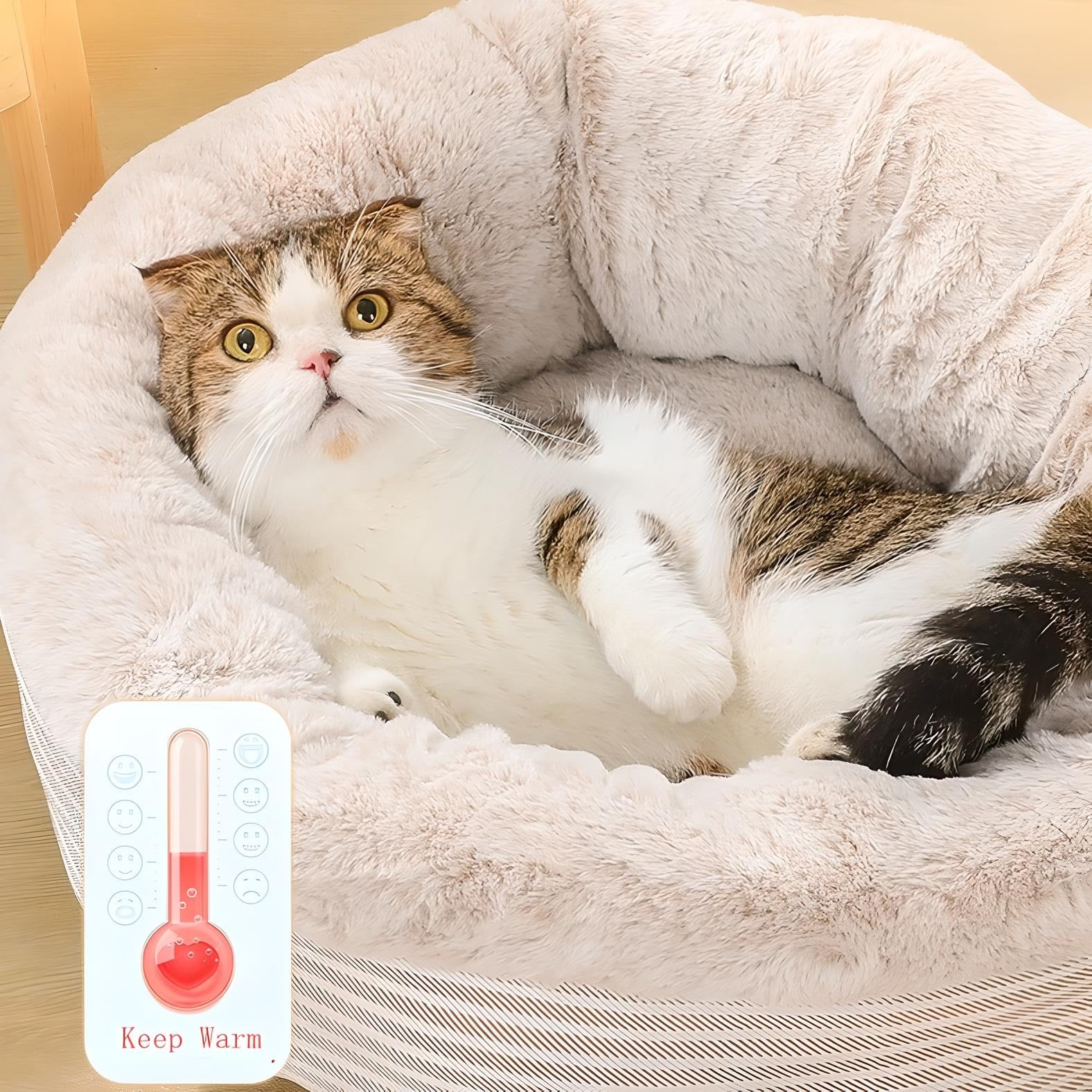 Keep warm for the cat by a round fluffy cat bed