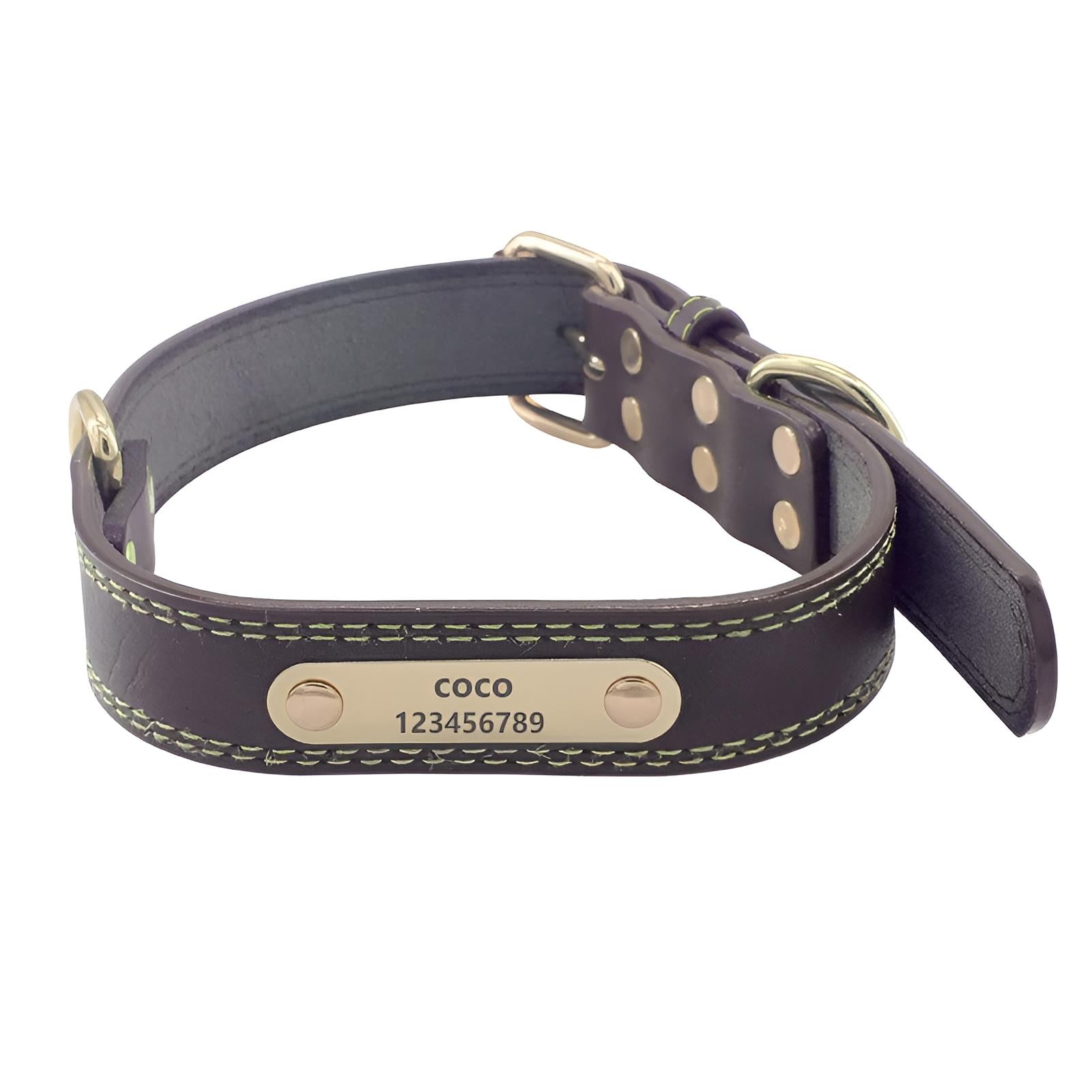 Leather Dog Collars with Names Brown Customized