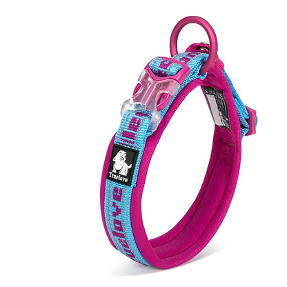 Nylon Dog Collars with Name Plates Fuchsia