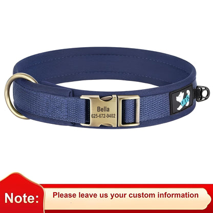 Nylon Dog collar with name dblue