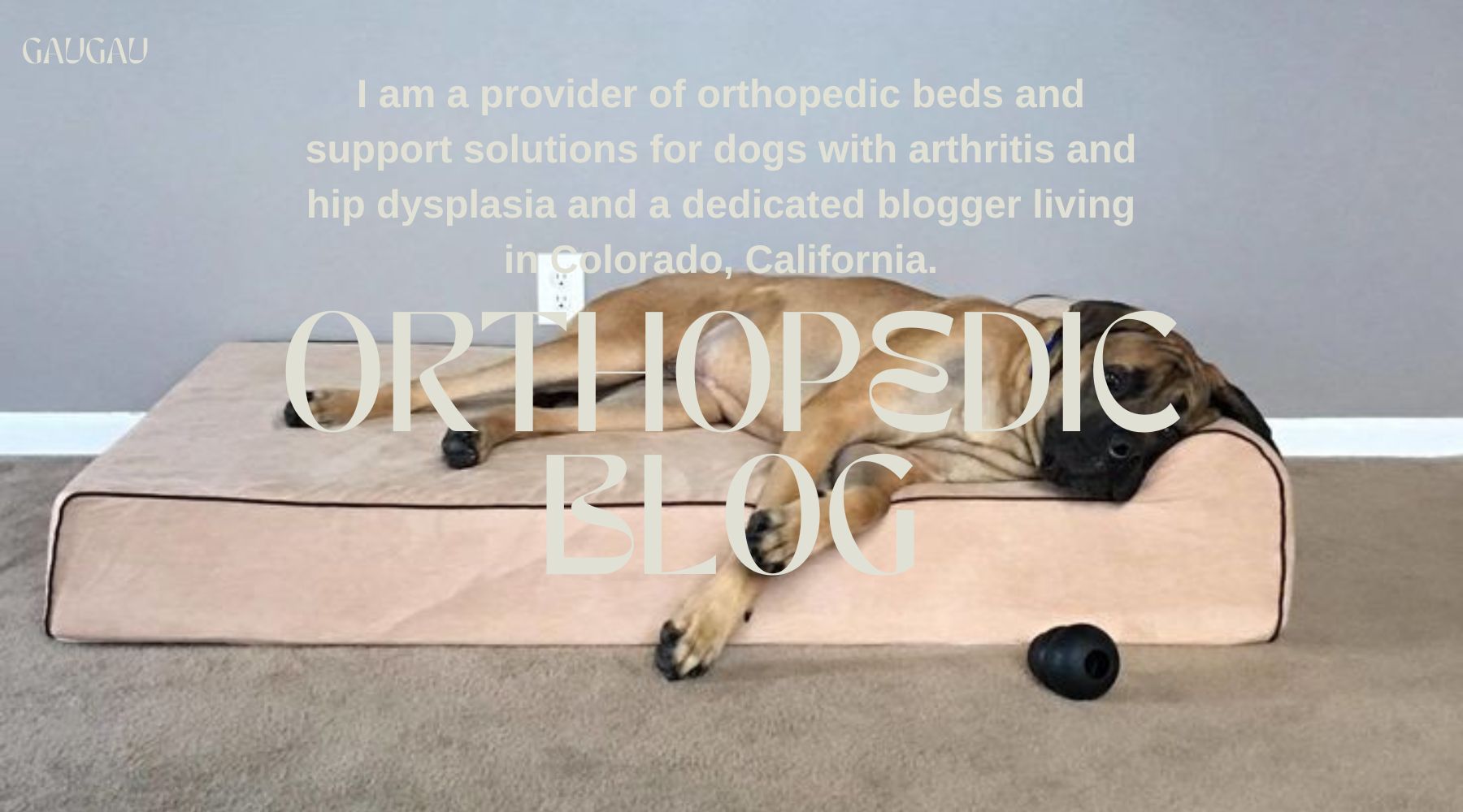 Orthopedic fog beds blog gaugau