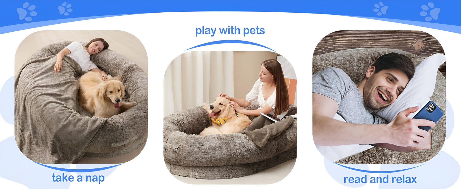 Play with pets in human dog beds