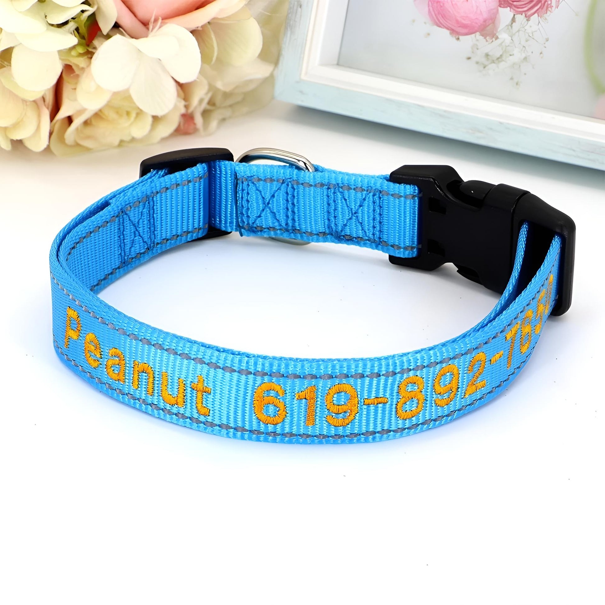 Reflective Nylon Dog ID Collar Blue