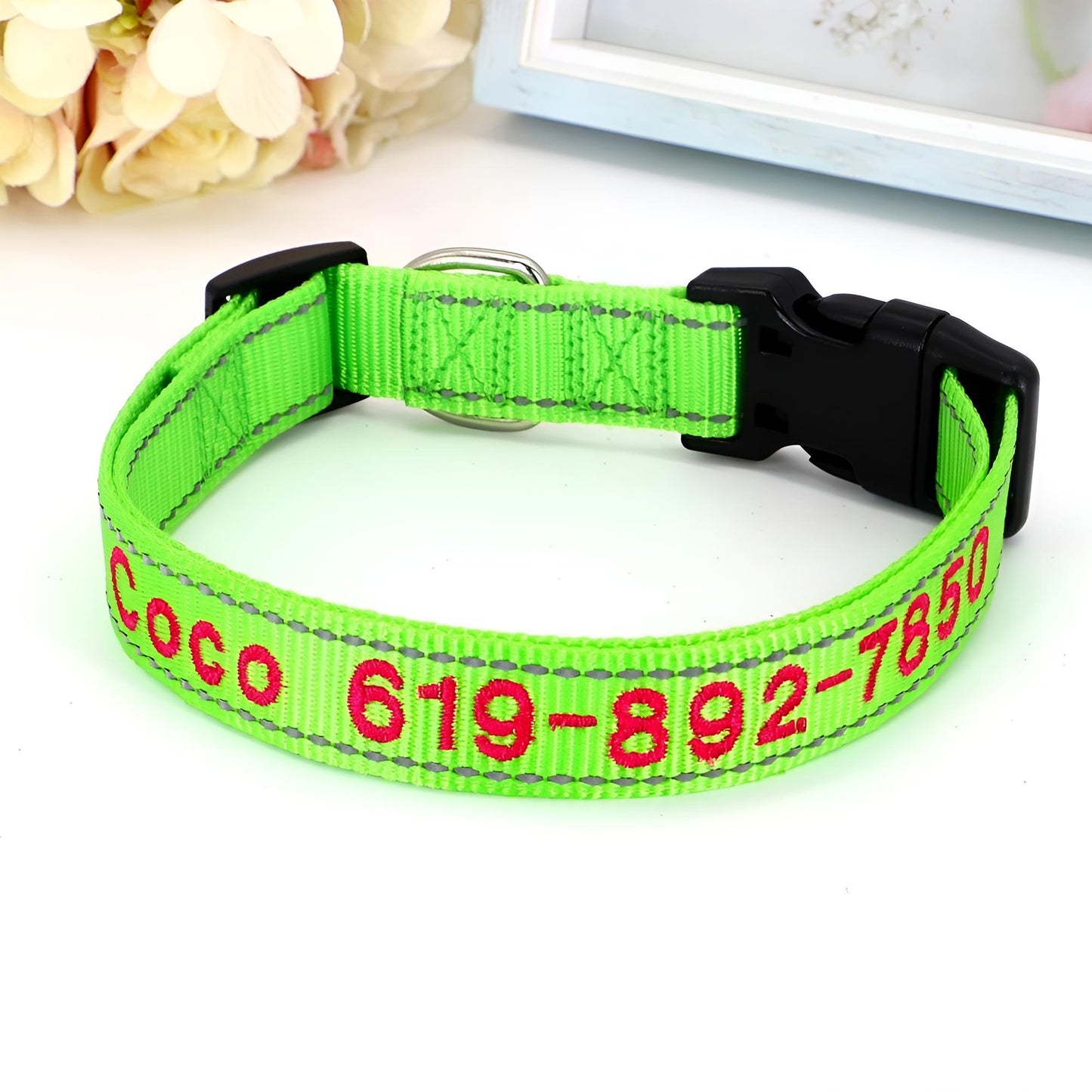 Reflective Nylon Dog ID Collar Green